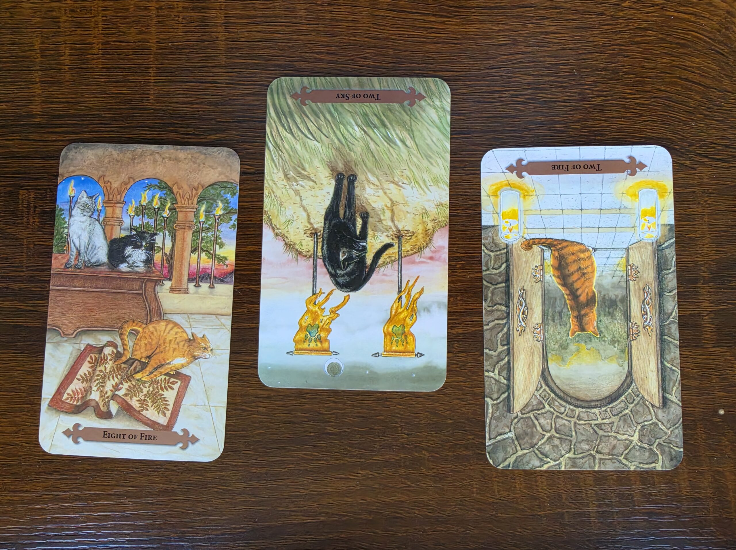 Finding the Source of My Power – Communing with the Kitties #1