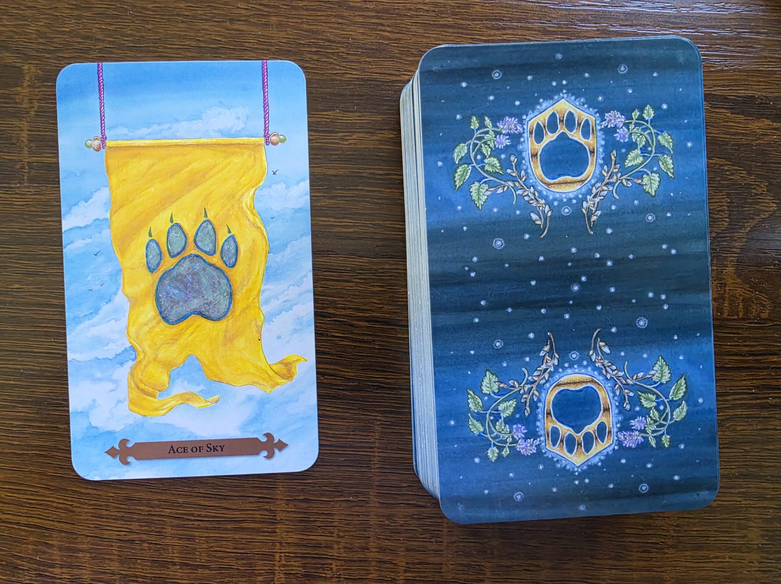 The Ace of Sky – Communing with the Kitties #2