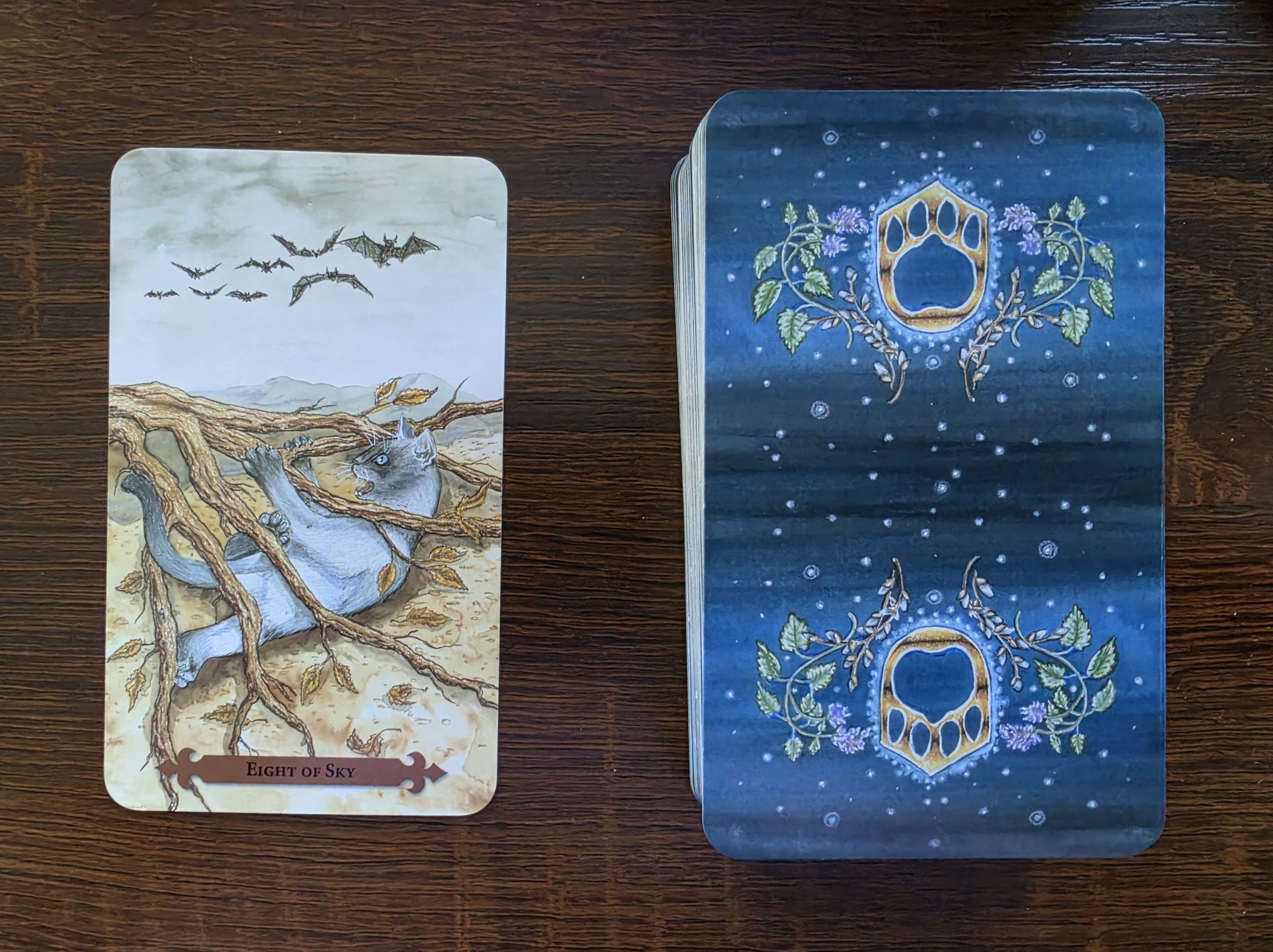 Eight of Sky – Communing with the Kitties #3