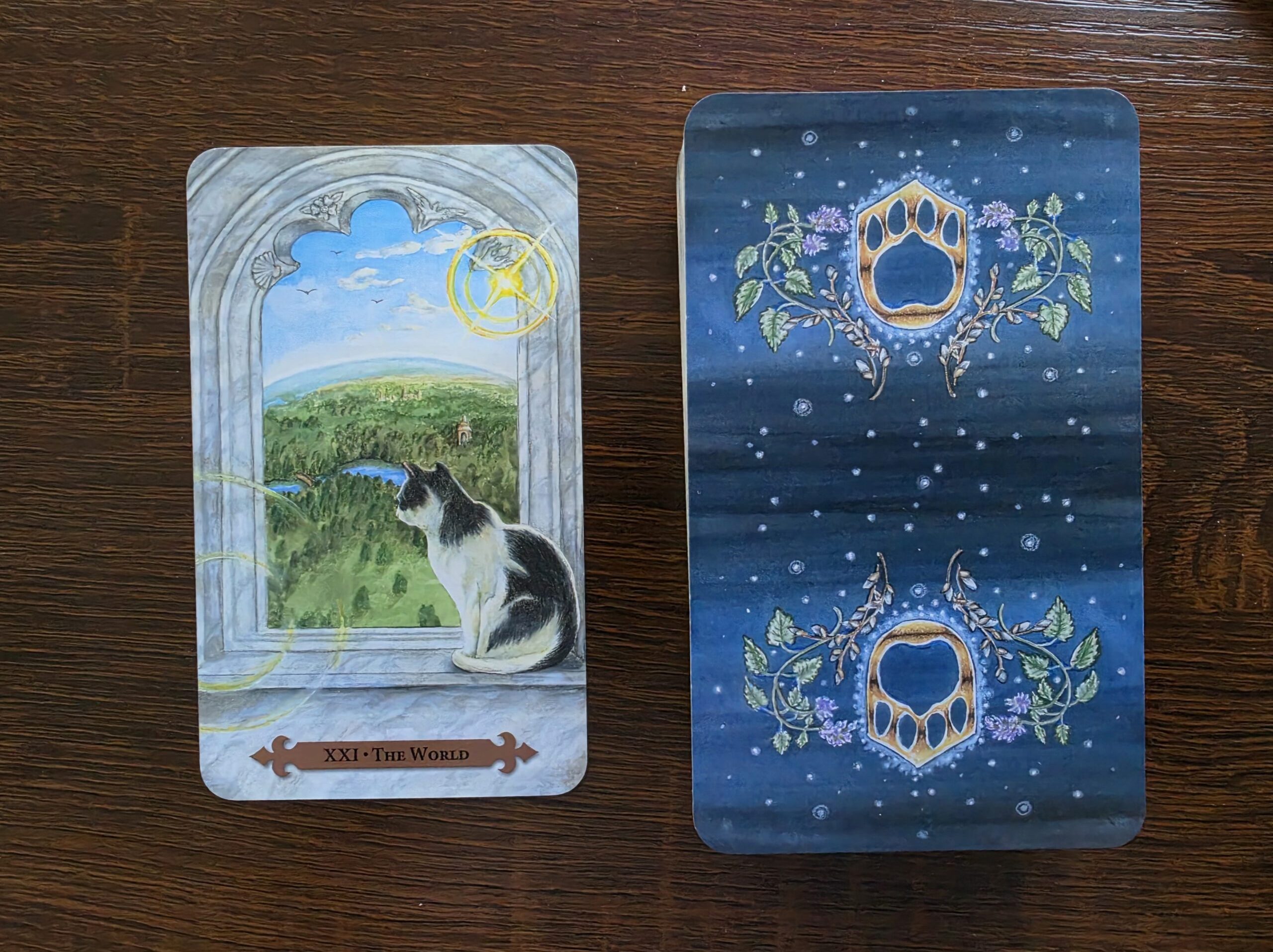 The World – Communing With the Kitties #5
