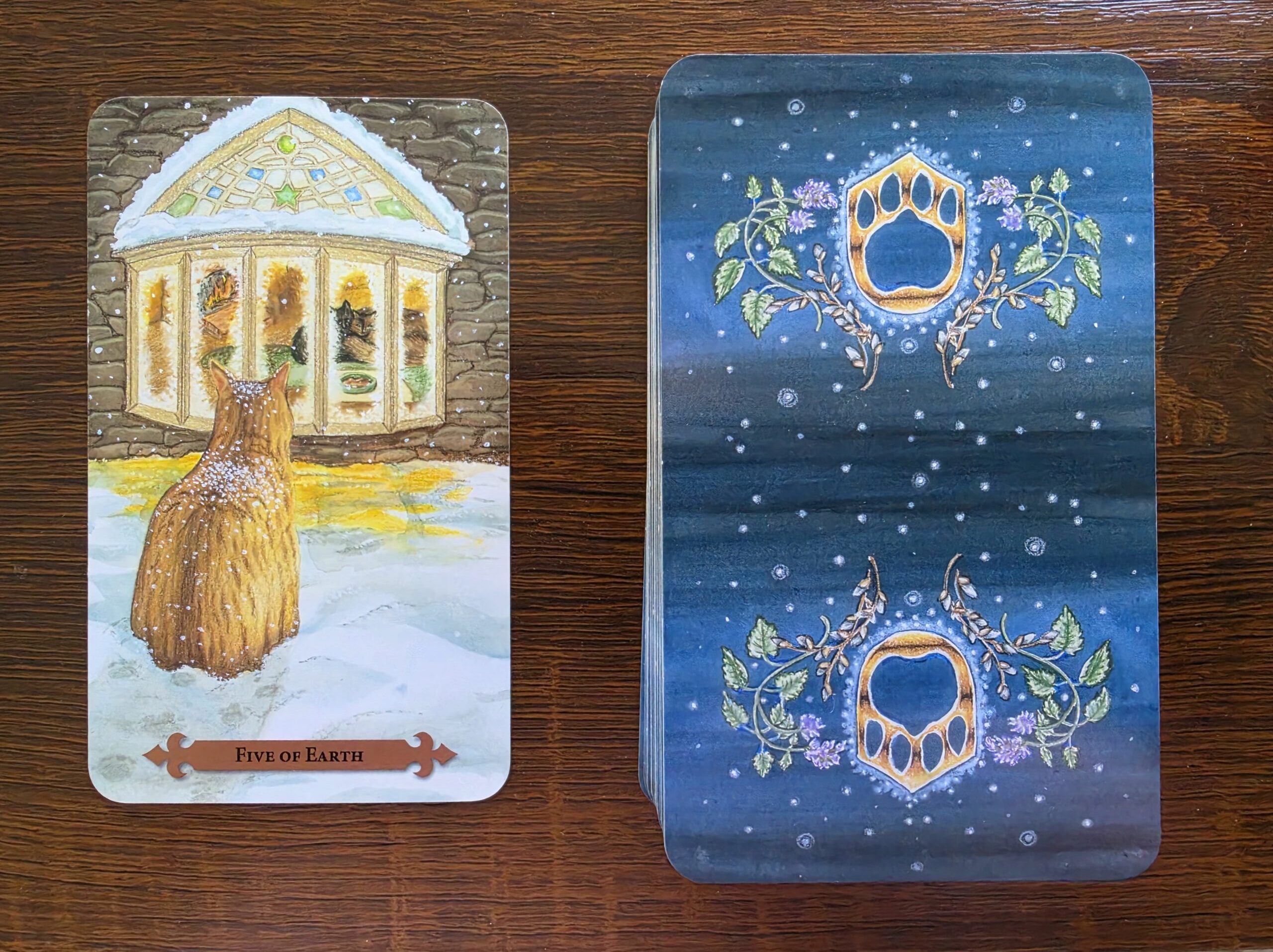 Five of Earth – Communing with the Kitties #6